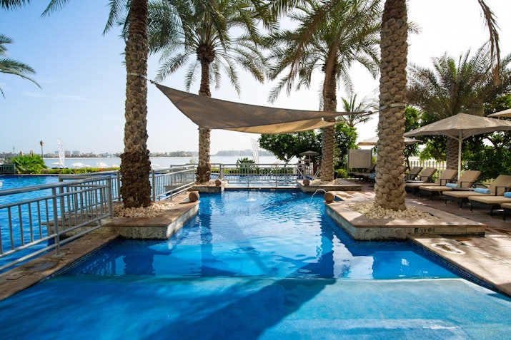 Shaded swimming pool with palm trees and lounge chairs.