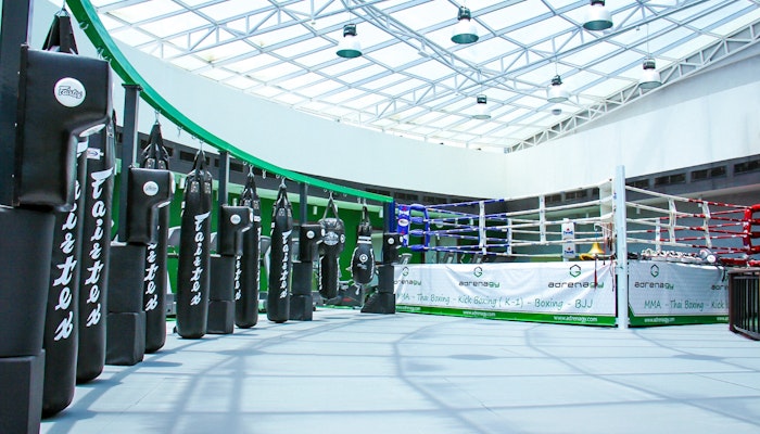 Β Adrenagy Indoor boxing area with multiple punching bags and a professional ring, set under a high, glass-paneled ceiling for ample natural light.