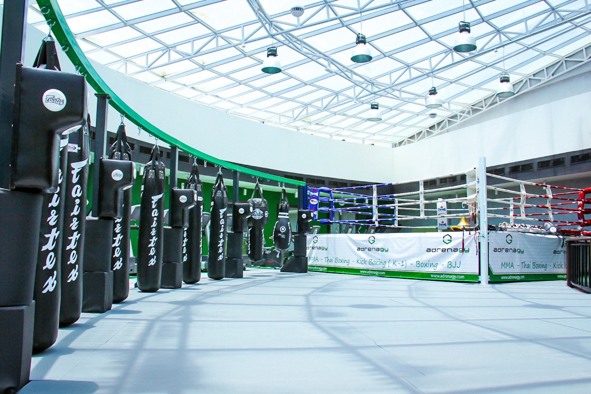 Adrenagy Indoor boxing area with multiple punching bags and a professional ring, set under a high, glass-paneled ceiling for ample natural light.