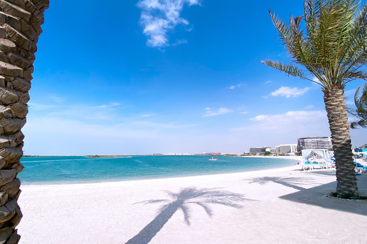 A serene beach view with white sand, clear blue waters, and palm trees casting shadows, under a bright sky.