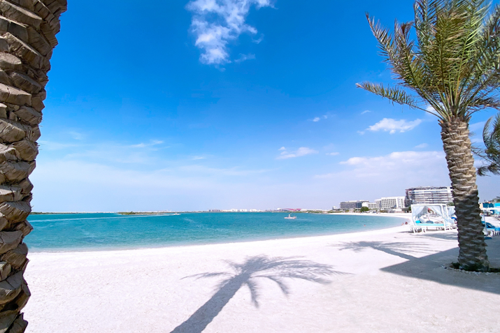 A serene beach view with white sand, clear blue waters, and palm trees casting shadows, under a bright sky.