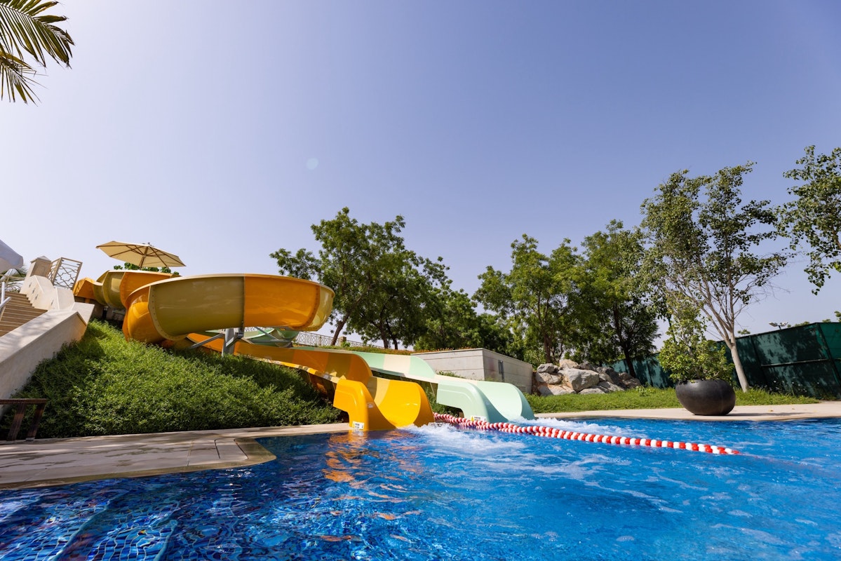 Water slide in a pool surrounded by greenery.