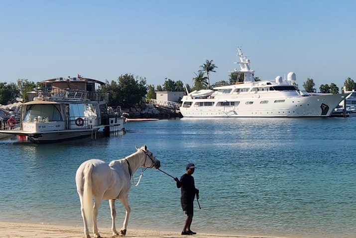 A person walking a horse along the shore with a yacht in the background.