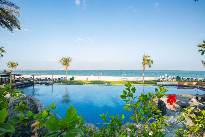Infinity pool overlooking a beach with palm trees.
