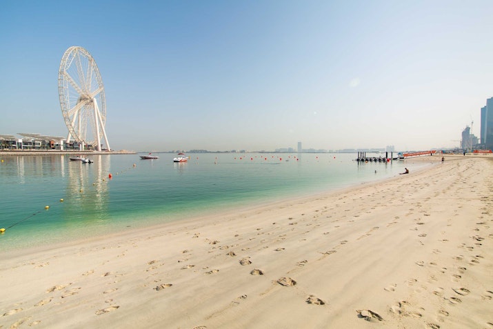 Beachfront with a view of a large Ferris wheel and calm waters
