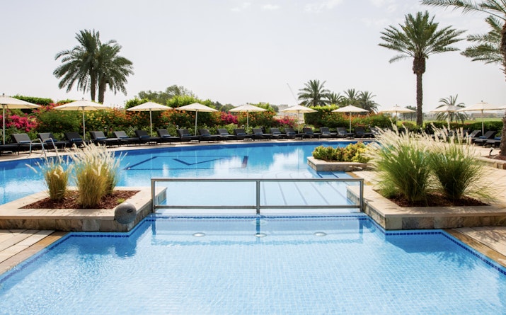 View of a swimming pool surrounded by lush greenery and palm trees with a clear blue sky in the background.