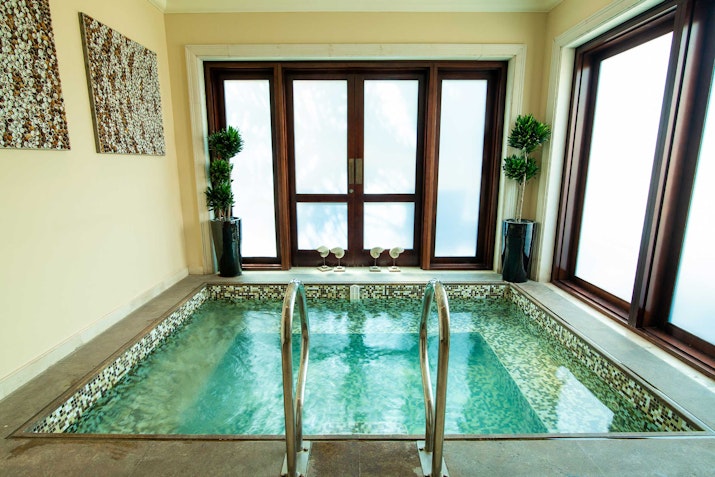 A luxurious indoor spa with a small plunge pool, surrounded by large windows and plants.