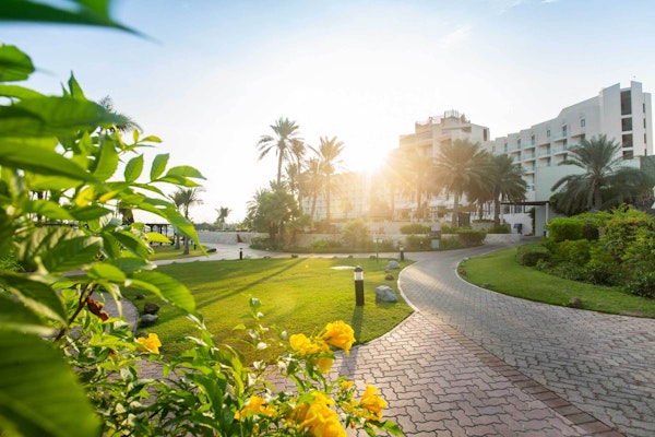 Garden path leading to a building at sunrise.