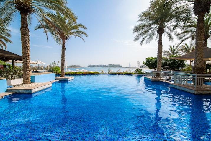 View of a clear blue pool with palm trees, and a serene waterfront backdrop.
