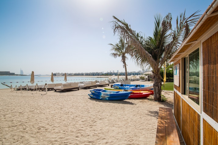 Colorful kayaks by the beach with a view of the water and a palm tree.