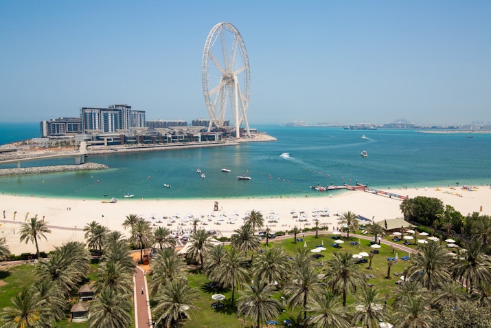 View of a beach, Ferris wheel, and city skyline.