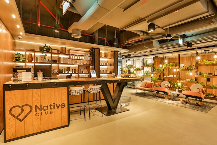 Spa with wooden aesthetics and a cosy feel, featuring plants and warm lighting