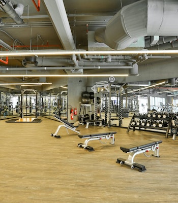 Native Club Gym State-of-the-art fitness facilities at the Native Club Gym, featuring mirrors, wooden floors, an industrial-style ceiling, and free weights