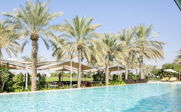 Infinity pool lined with palm trees on a sunny day.