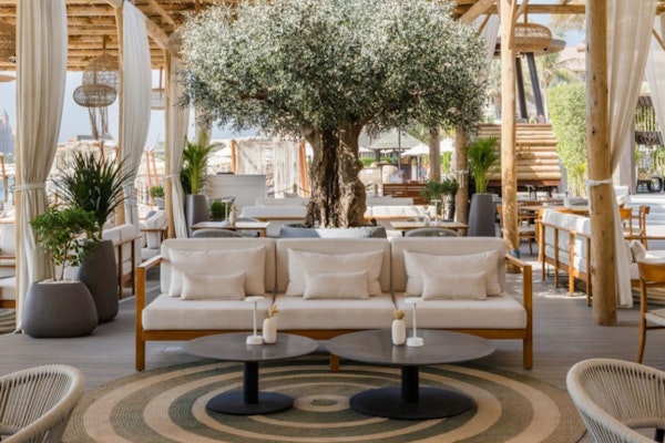Stylish outdoor dining space with cozy seating under a large, lush olive tree, surrounded by soft lighting and elegant decor for a romantic ambiance.