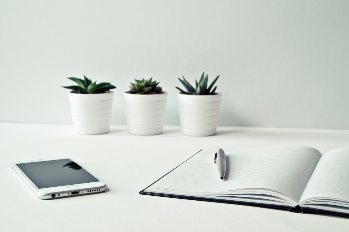 A minimalist workspace with a phone, notebook, and small plants.