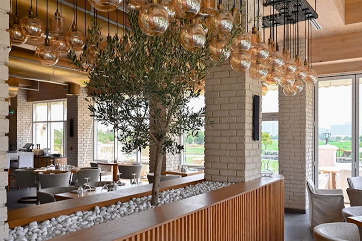 Modern restaurant interior with hanging glass lights and indoor tree in stone planter.
