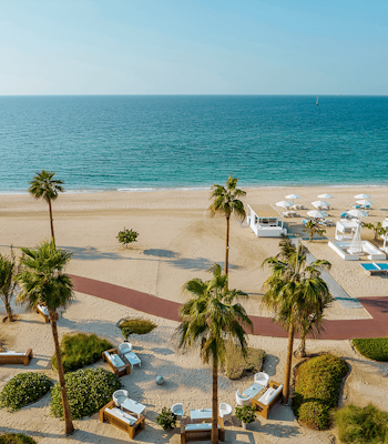 Nikki Beach Resort & Spa Scenic beach with palm trees, white lounge chairs, and ocean view.