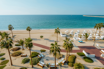 Scenic beach with palm trees, white lounge chairs, and ocean view.