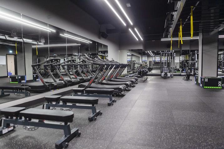 Modern gym interior featuring lined-up benches and treadmills, with a sleek and spacious layout.
