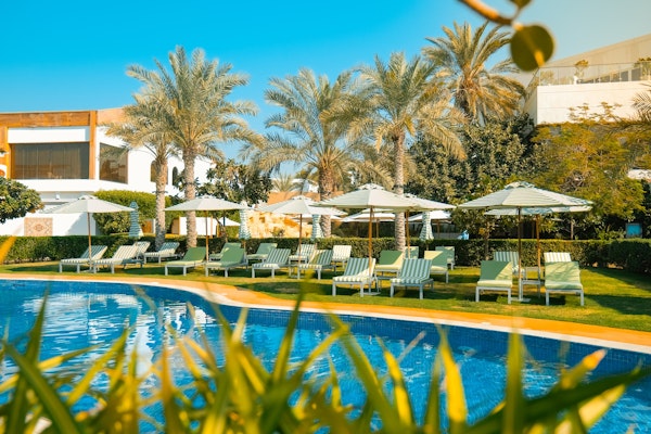 Poolside area with striped loungers, umbrellas, and palm trees.