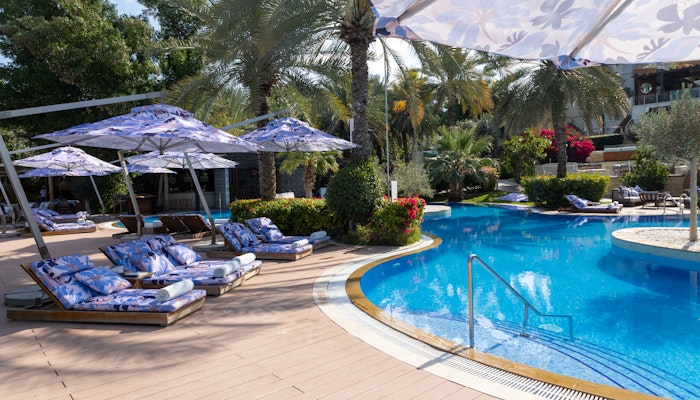 Mare by Bussola Curved pool with patterned loungers, umbrellas, and surrounding palm trees.