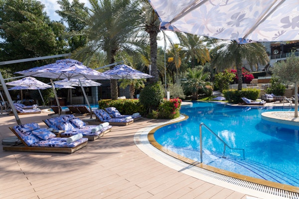 Curved pool with patterned loungers, umbrellas, and surrounding palm trees.