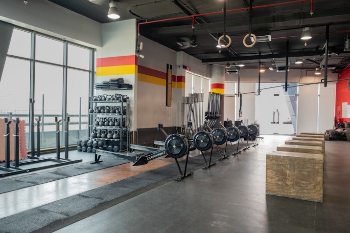 Indoor fitness area featuring multiple rowing machines, a wall stacked with kettlebells and weights, wooden plyometric boxes, and hanging gymnastic rings, with natural light streaming in through large windows.