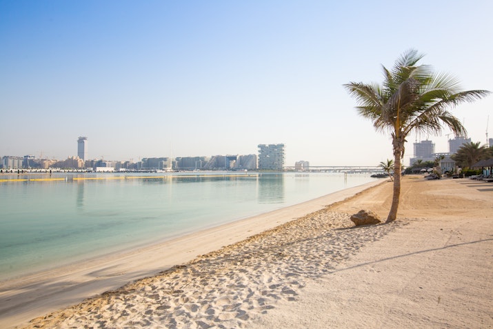 Quiet sandy beach with a lone palm tree and cityscape in the distance.