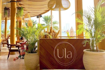 Restaurant featuring wooden decor, lush indoor plants, and large windows showcasing a view of the outdoors.