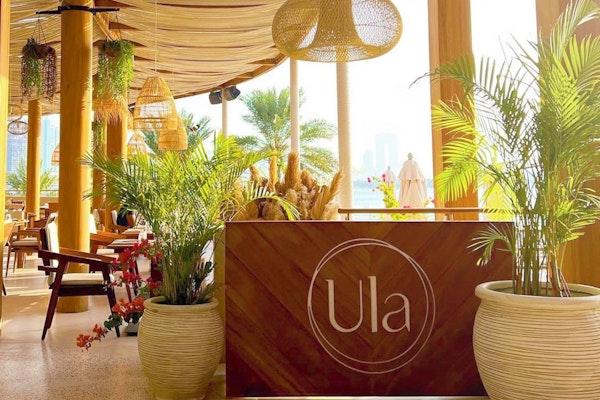 Restaurant featuring wooden decor, lush indoor plants, and large windows showcasing a view of the outdoors.