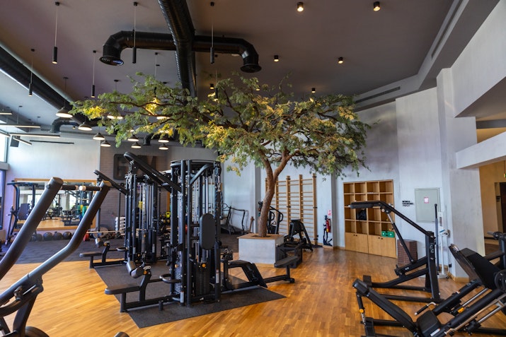 Gym space featuring exercise machines, natural wood flooring, and a decorative indoor tree, creating a refreshing and eco-friendly workout environment.
