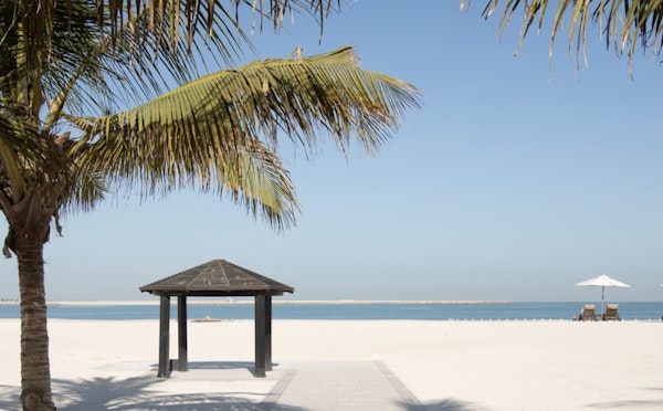 A peaceful beach scene featuring palm trees, a gazebo, and lounge chairs under an umbrella, with a calm sea in the background.