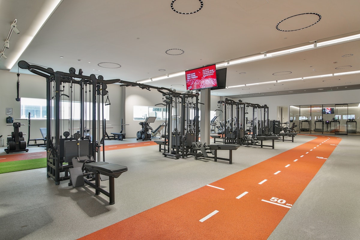 Fly High Fitness: a spacious and modern gym designed for all fitness levels. Fly High Fitness: well-equipped gym with training zones, weight machines, and a track area