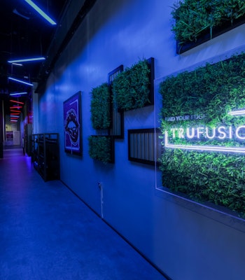 TruFusion Dubai A modern hallway with neon blue lighting and greenery accents, featuring a prominent "Trufusion" sign on the wall.