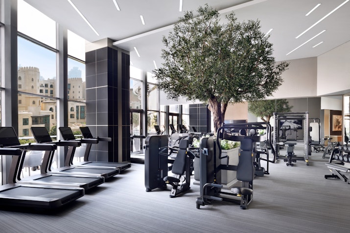 A modern gym featuring fitness equipment, including treadmills and weight machines, with a large indoor tree adding a touch of greenery, and large windows providing natural light and a view of the outdoors.