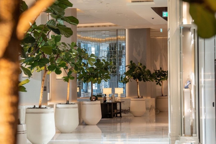 A corridor in a modern building lined with potted plants, leading to a well-lit area with elegant decor.