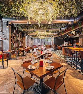 Dining experience with plant ceiling