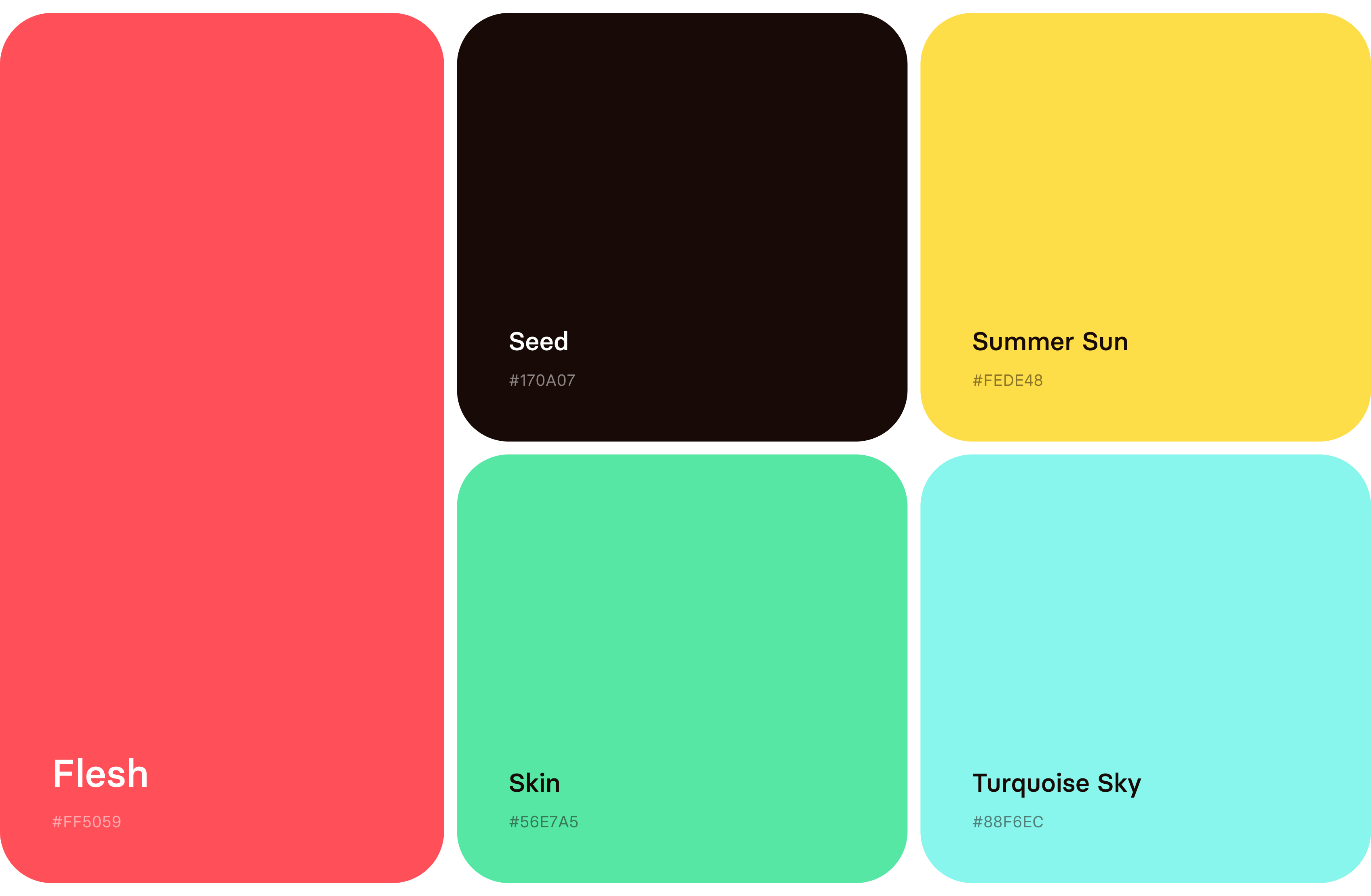 Five rounded rectangles display color swatches labeled Flesh (red), Seed (black), Summer Sun (yellow), Skin (green), and Turquoise Sky (aqua), each with the hex code #123456 in the corner.