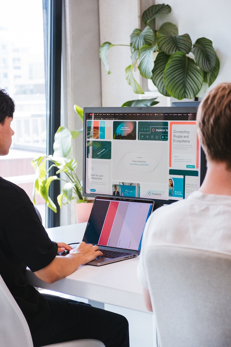 Two people work at a desk with laptops in a bright office. One monitors a large screen displaying various website interfaces; green plants and large windows are visible in the background.