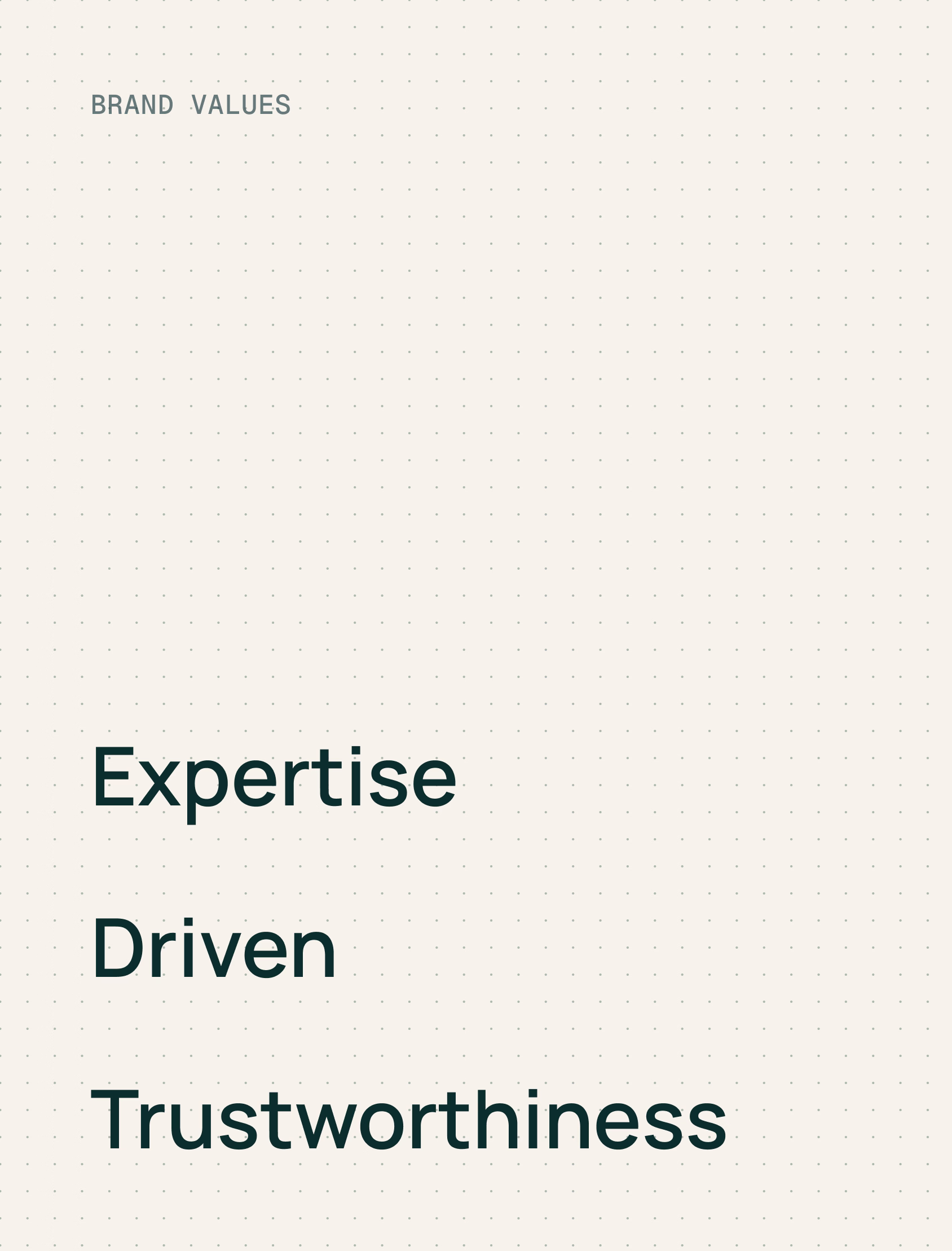 A minimalist page with the heading "BRAND VALUES" at the top left and three bold words centered below: "Expertise," "Driven," and "Trustworthiness," on a light dotted background.