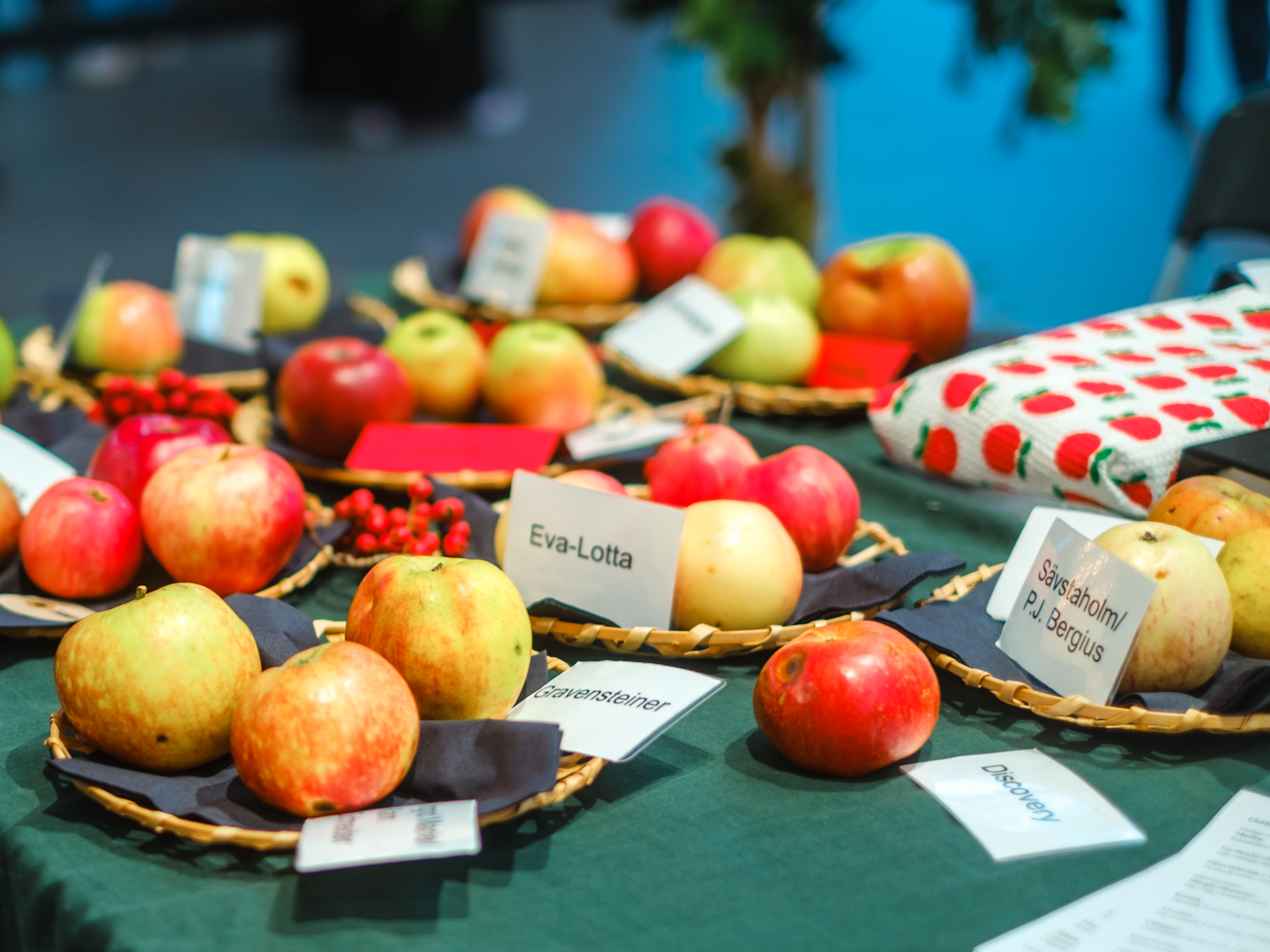 Sortbestäm äpplen Sortbestäm äpplen