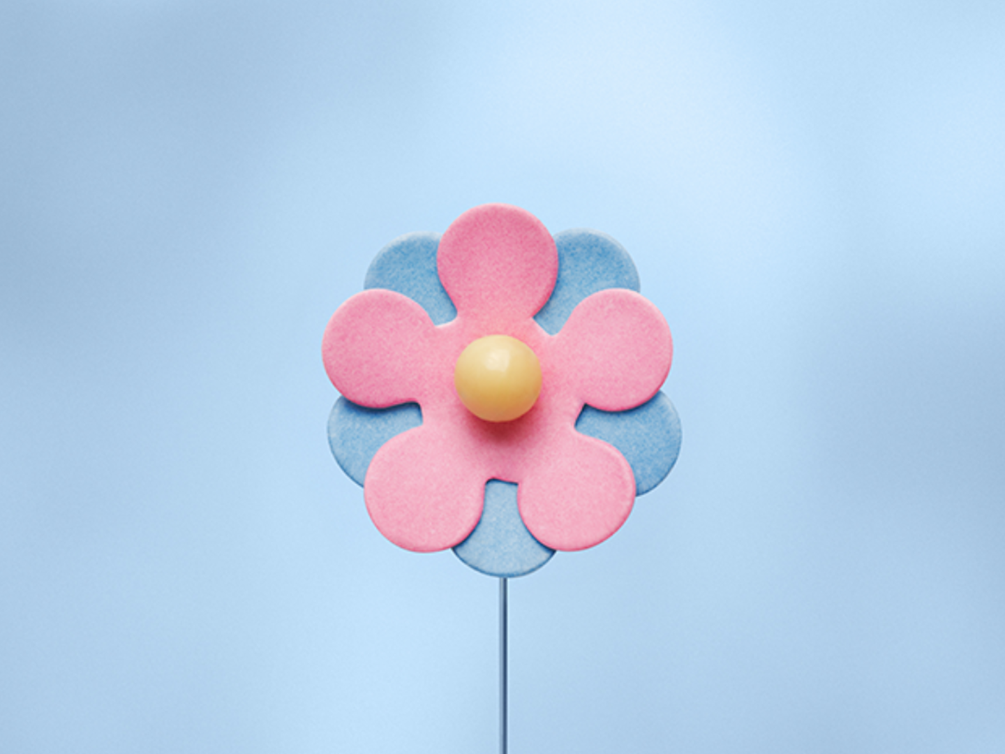 Majblomman 2026 Majblomman 2026