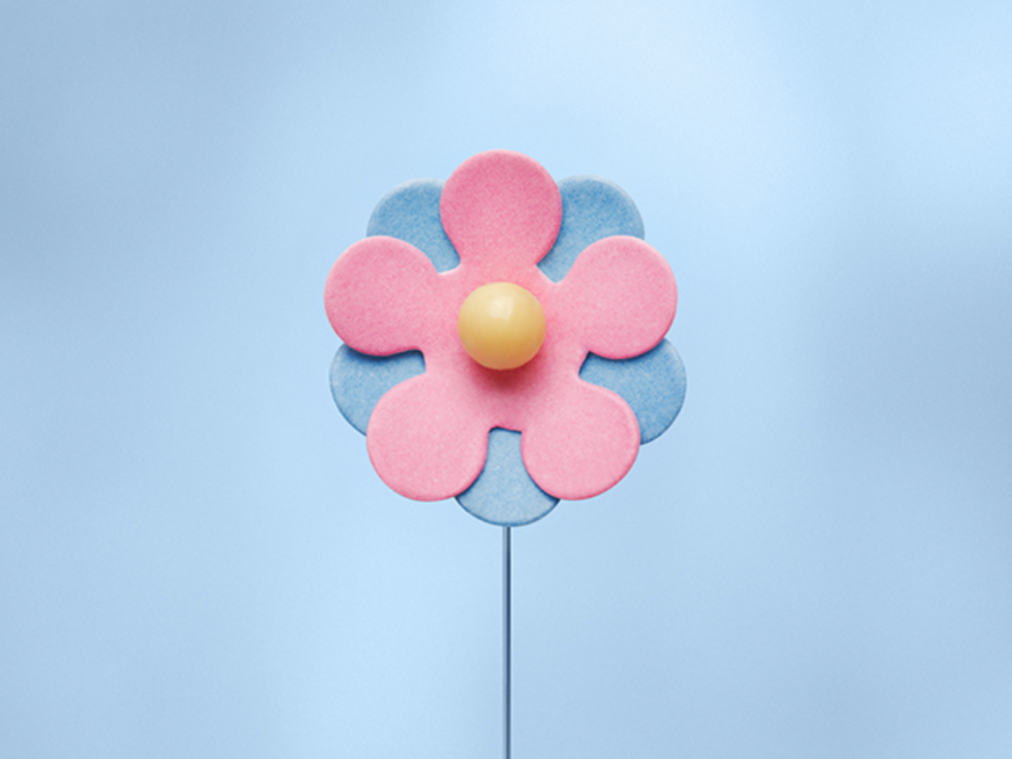 Majblomman 2026 Majblomman 2026