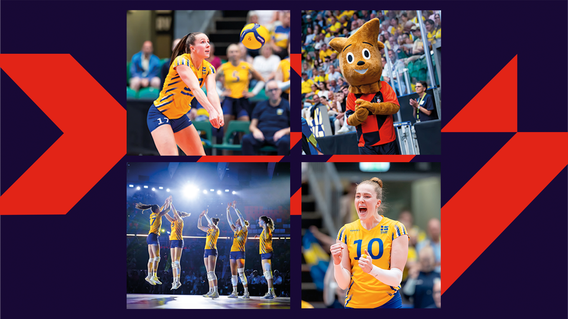 Volleybollens dag