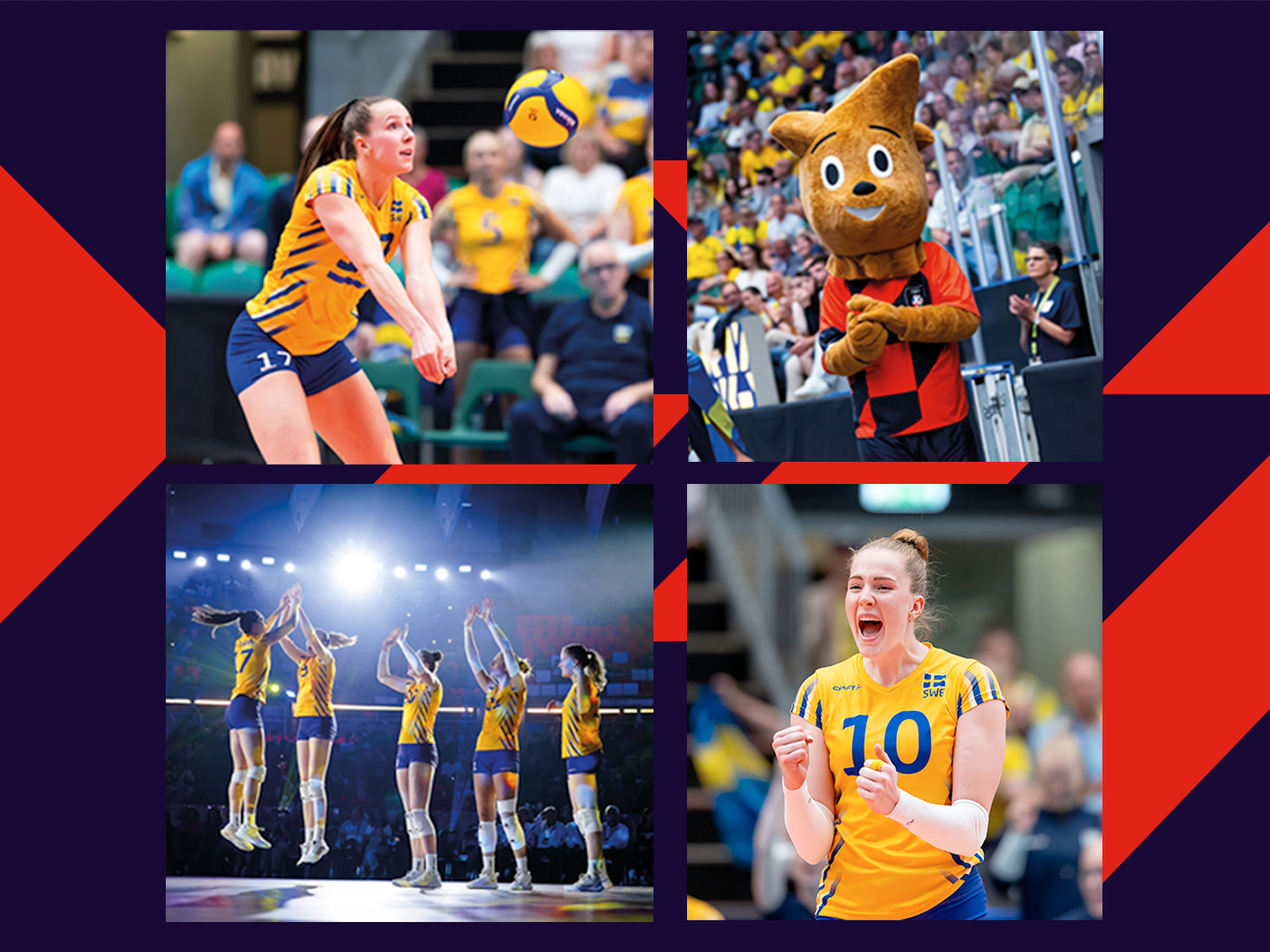 Volleybollens dag Volleybollens dag