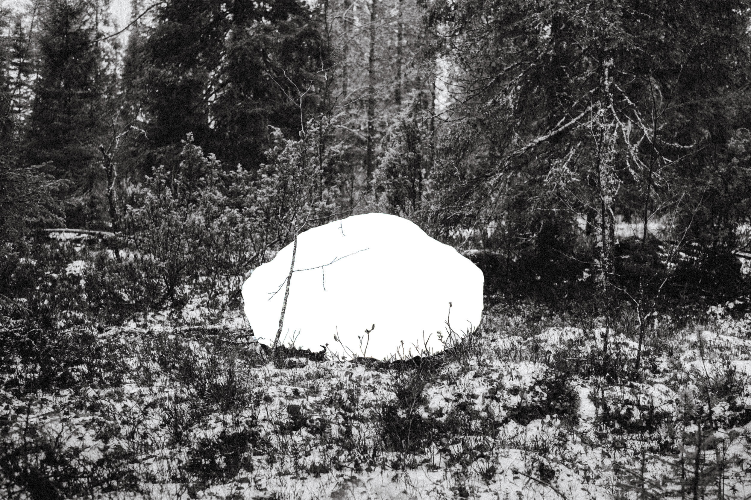 Bild: LKP Ett skogslandskap i svartvitt. I mitten av bilden har det funnits en stenbumling, men den är utklippt så det bara är ett vitt hål där