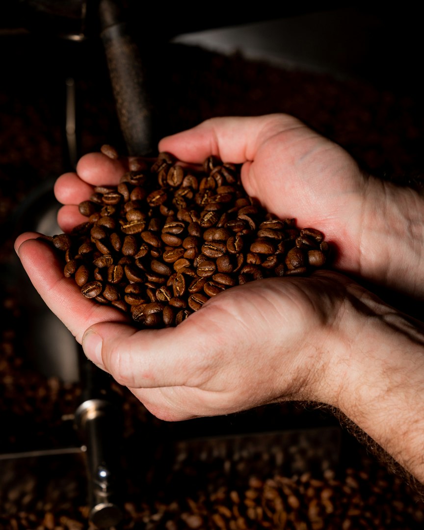 Cupped hands hold freshly roasted coffee beans above a roaster’s cooling tray full of beans.