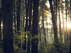 La propriété du centre national bahá’í et la gérance de l’environnement