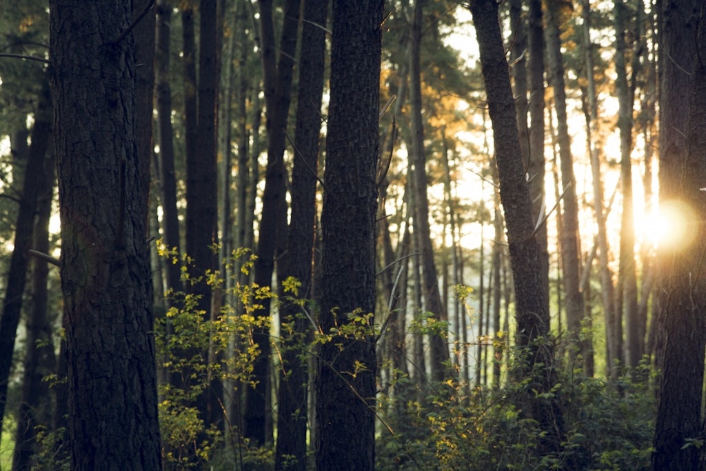 La propriété du centre national bahá’í et la gérance de l’environnement
